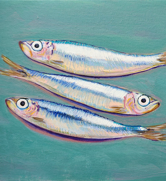 Three fish illustrations on a teal background